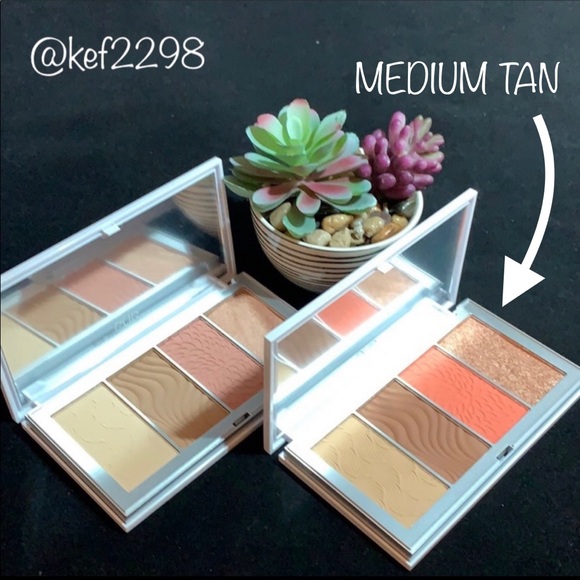 PUR 4-IN-1 SKIN PERFECTING POWDERS FACE PALETTE